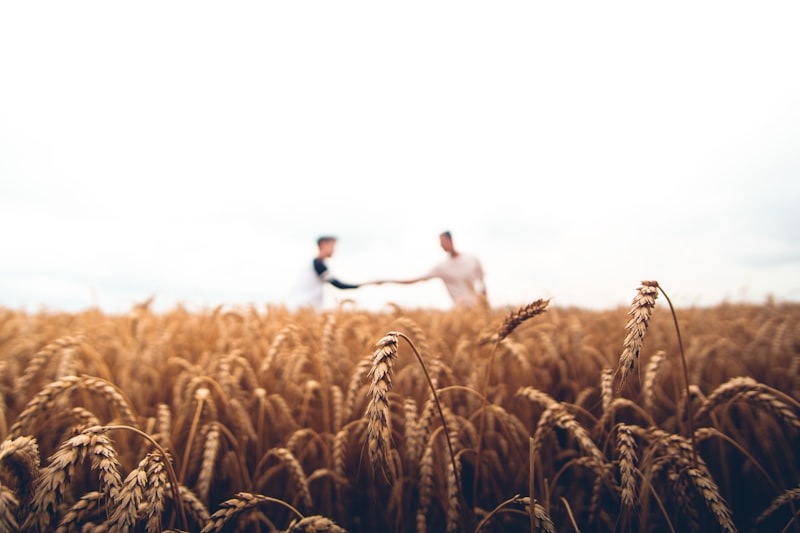 Fideicomiso Agrícola Cerealero